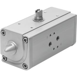 DAPS-1920-090-R-F1216 vérin oscillant