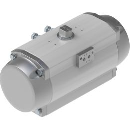 DFPD-N-900-RP-90-RS60-F14 vérin oscillant